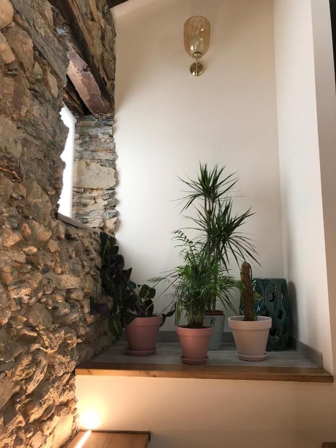Studio Rural Vilarinho  외부 사진