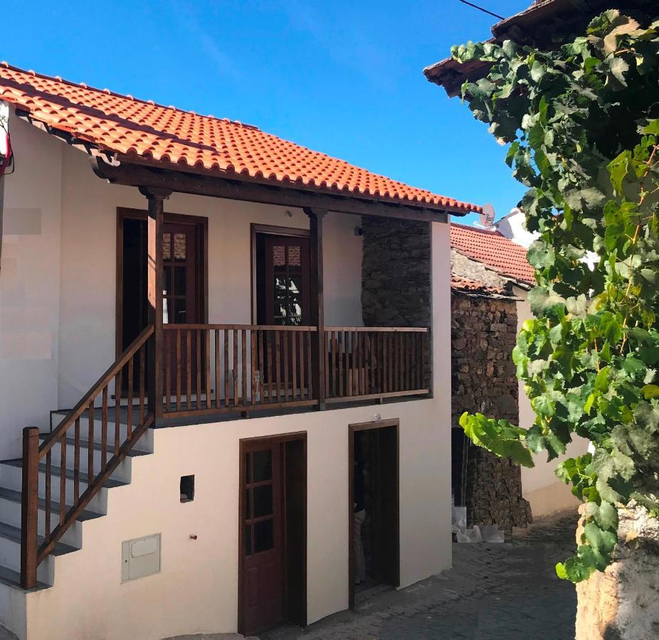 Studio Rural Vilarinho  외부 사진